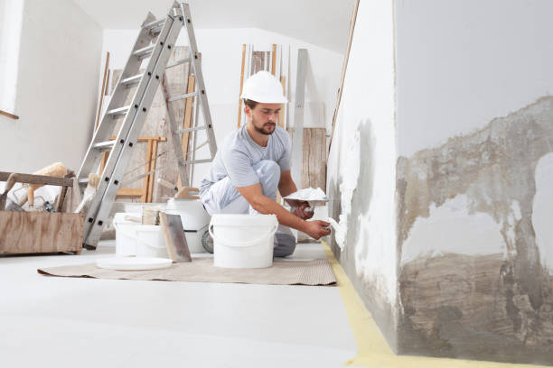 Best Ceiling Drywall Installation  in Pioche, NV